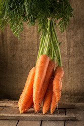 Similar image 13228326