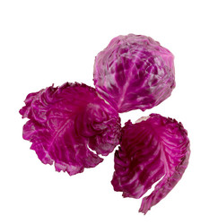 Similar image 13219956