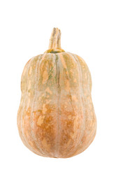 Similar image 13219962