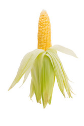 Similar image 13220491