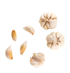 Similar image 13220495