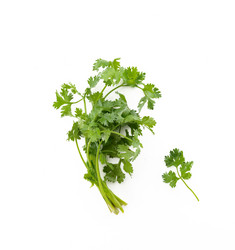 Similar image 13220533