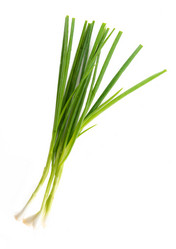 Similar image 13220535