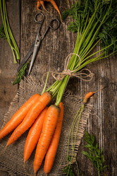 Similar image 13228347