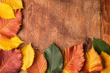 Similar image 13228328