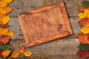 Similar image 13228329