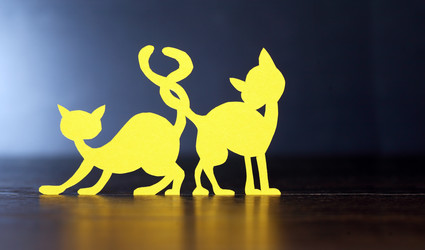 Similar image 13223974