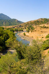 Similar image 13223683