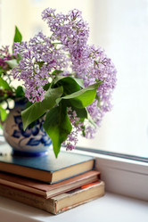 Similar image 13223960