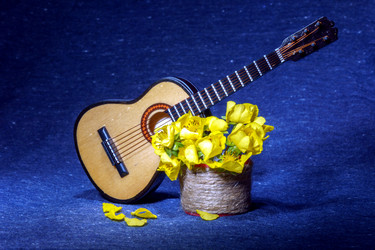 Similar image 13223967