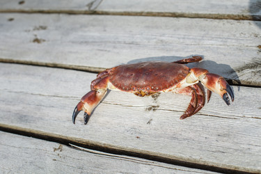 Similar image 13242708