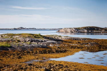 Similar image 13242732