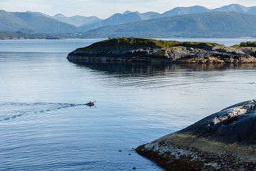 Similar image 13242738