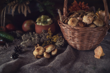 Similar image 13227400