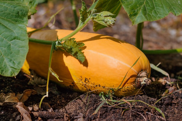 Similar image 13224523