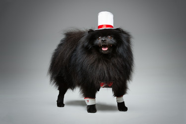 Similar image 13242689