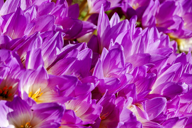 Similar image 13225301