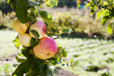 Similar image 13225302