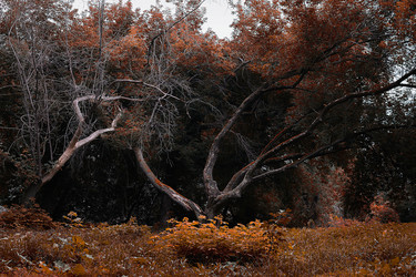 Similar image 13224544