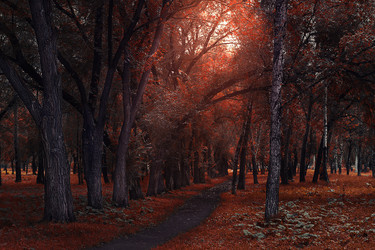 Similar image 13224546