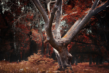 Similar image 13224547