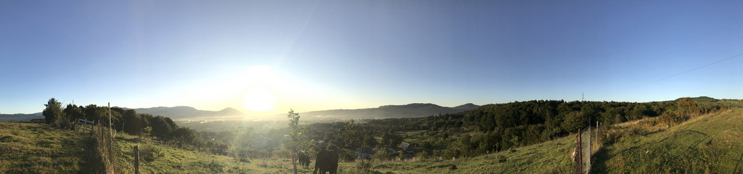 Similar image 13226061