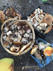 Similar image 13226069