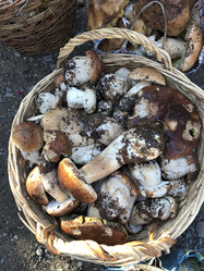 Similar image 13226071