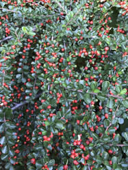 Similar image 13226084