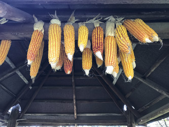 Similar image 13226086