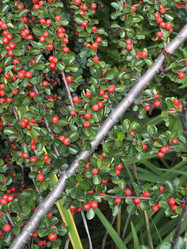 Similar image 13226087