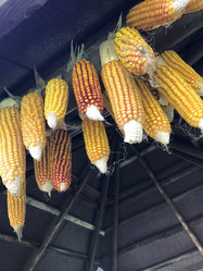 Similar image 13226088