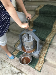 Similar image 13226092