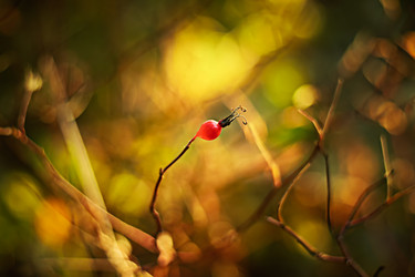 Similar image 13228230