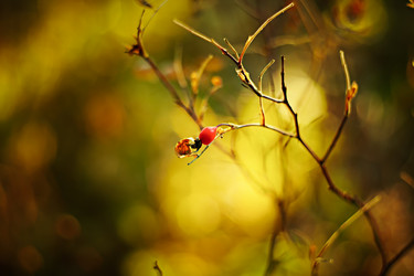 Similar image 13228231