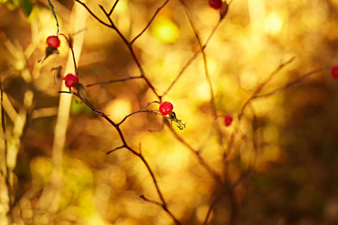 Similar image 13228232