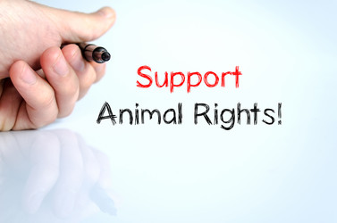 Similar image 13239249