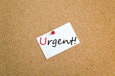 Similar image 13238531