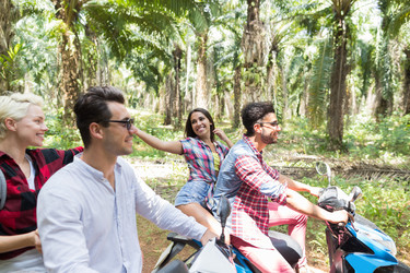 Similar image 13227310