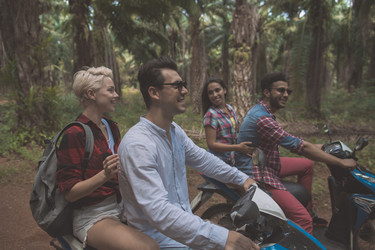 Similar image 13227313