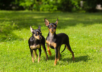 Similar image 13225327