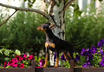 Similar image 13225329