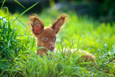 Similar image 13225349