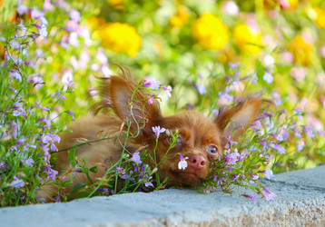 Similar image 13225343