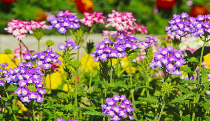 Similar image 13225344