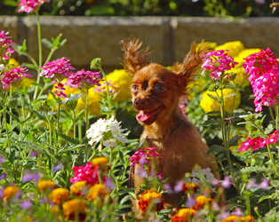 Similar image 13225347