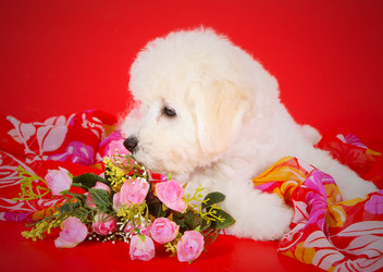 Similar image 13241248