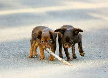 Similar image 13225356