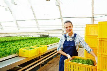 Similar image 13224487