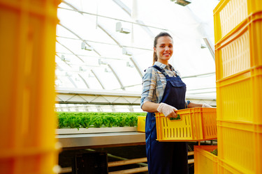 Similar image 13224489